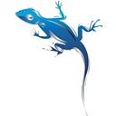 Blue Lizard Services logo