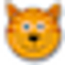 Big Cat Travel Insurance logo
