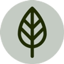Jacqui Noël Yoga logo