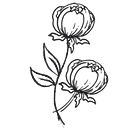 The Tattered Pew logo