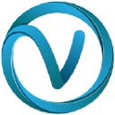 Veracity VUE logo