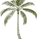 Liv Bella Vita logo