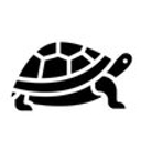 Financial Tortoise logo