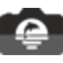 Alina Delfino Photography logo