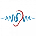 The Audiology Academy logo