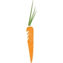 Dig Local Network logo
