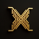 X Chauffeurs logo