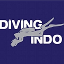 Diving Indo logo