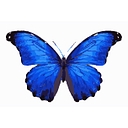 Nature Gift Store logo