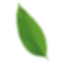 ALA Cleaning Services logo