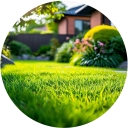 LawnProNow logo