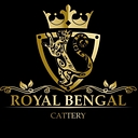 Royal Maine Coon Cattery logo