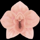 Yoni Massage Therapist logo