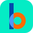 thebinaschool.com favicon