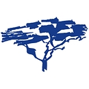 Oral Surgeons, P.C. logo