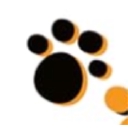 Active Pets logo