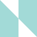 NucleusBI logo