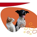 My Pet Carnivore logo