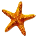 The Beach House Studios logo