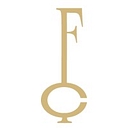 The Financial Confidence Coach logo