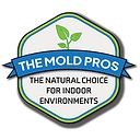The Mold Pros logo