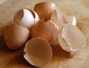 Eggshells Kitchen Co. logo