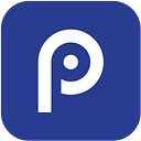 Pasquesi Partners logo