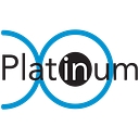 Platinum Information Services logo