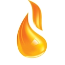 The Catholic Spirit logo