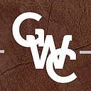 Custom Windows Texas logo