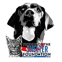 Friends of the Shelter Foundation logo