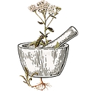 Rooted Remedies Apothecary logo