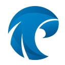 Pragmatic Works logo