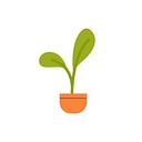 The Healthy Home logo