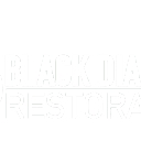 Black Diamond Water Damage & Disaster Restoration logo