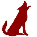 Coyote Communications logo