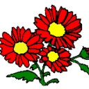 Lakeview Nurseries logo