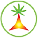 NeuroFactor logo
