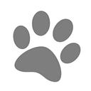 Positive Animal Wellness logo