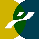 Pyron Group logo