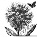 Lauren's Garden Service logo