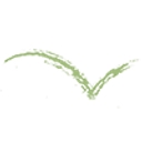 Eagle Rock Family Dentistry logo
