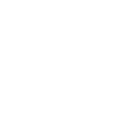 HoundDog.ai logo