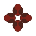 Dallas Drainage Solutions logo
