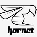 Hornet Watersports logo