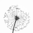 When It's Knot Forever logo