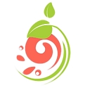 MagiCleanMaid logo