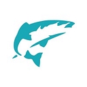 Salmon Software logo