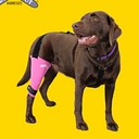 Walkabout Harnesses logo