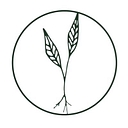 Root Functional Medicine logo